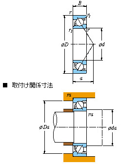 7203B样本图片