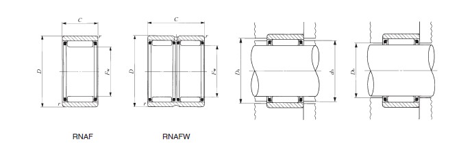 RNAFW202826样本图片