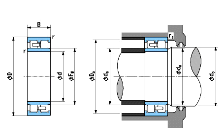 NNU4932样本图片