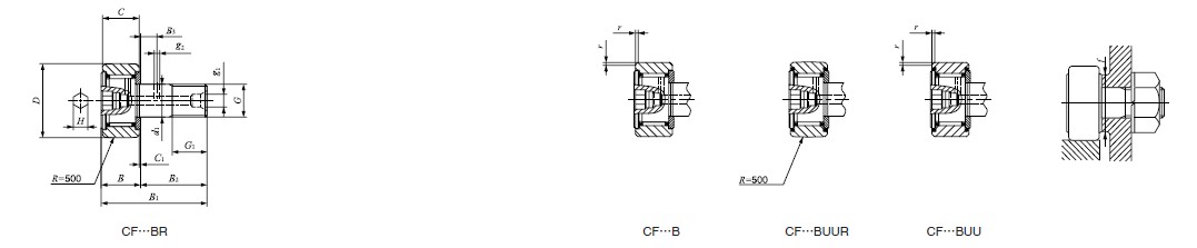 CF12B样本图片